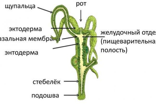 Сайт kraken в tor