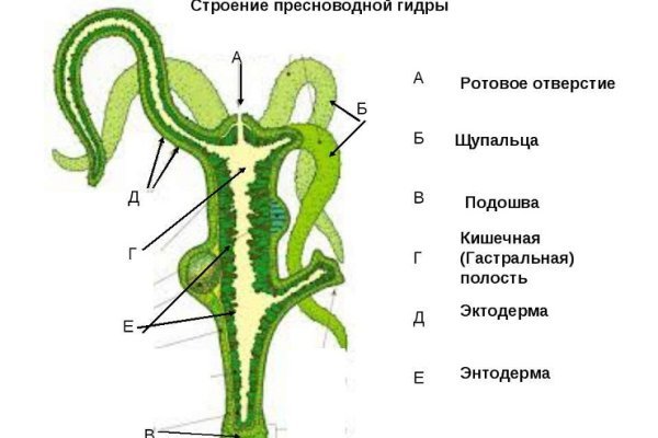 Кракен сайт это