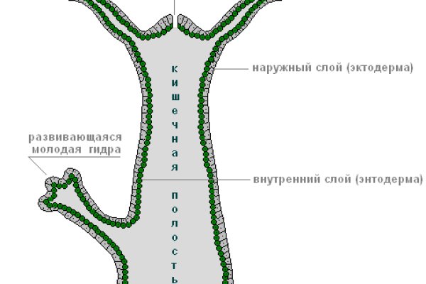 Ссылка на kraken торговая площадка